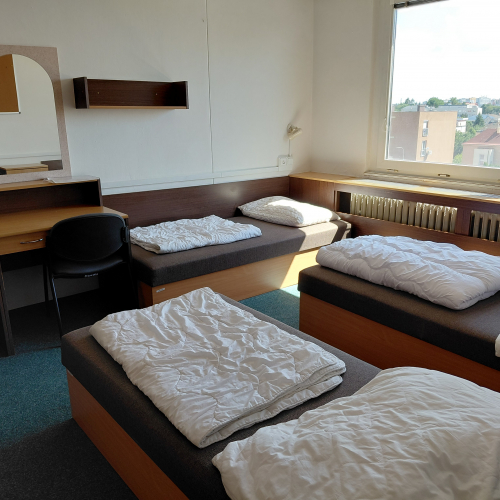 accommodation-1092-1783274337.jpeg