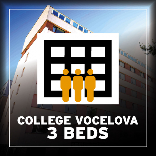 BA 2026 Hostel Koleje Vocelova trojlůžkový byt (3 postele) [e-vstupenka]