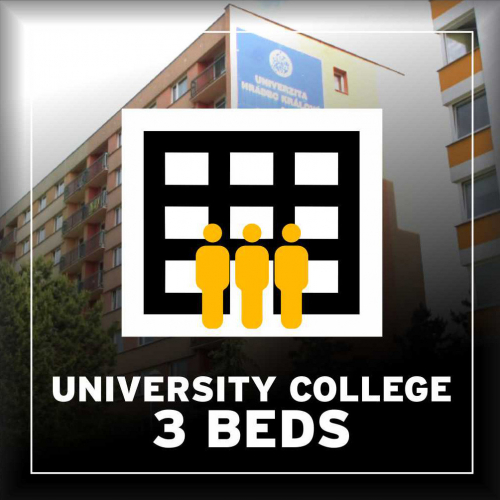 BA 2025 Hostel Koleje Univerzity HK trojlůžkový pokoj (3 postele) [e-vstupenka]